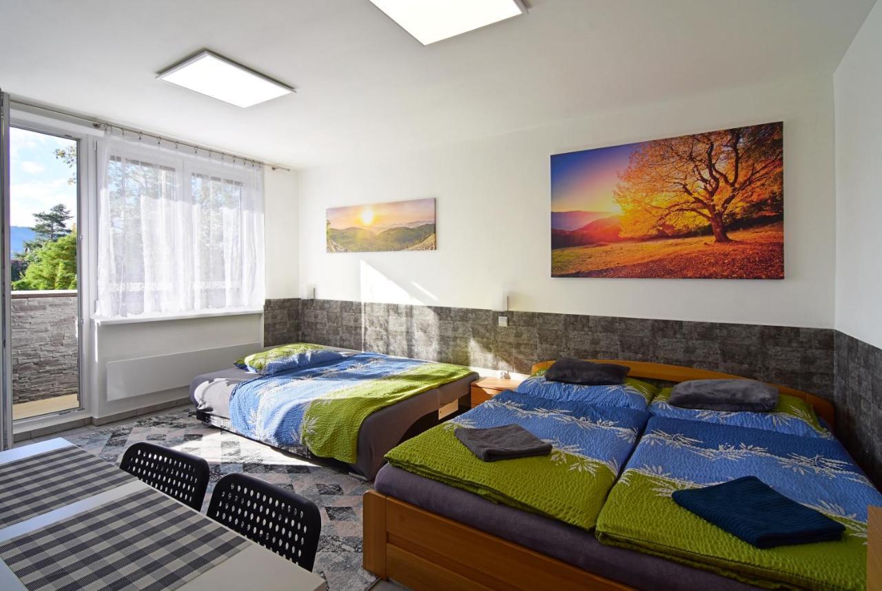 Apartman Nikola Trojanovice Exterior photo